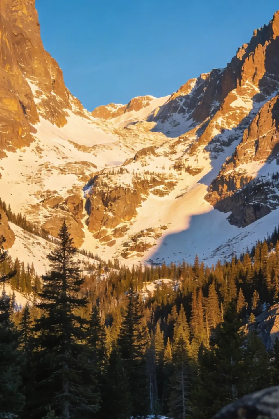 Mountain transportation Colorado for scenic tours and resort travel